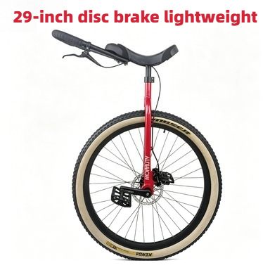 29Inch Morality Hydraulic Disc – Cycling Commute Distance Bewertung und Preis