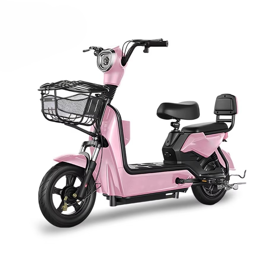 Best Price Electric City Bike  – Cycling In City Bewertung und Preis